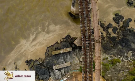 Pembangunan di Papua: Mewujudkan Pemerataan dan Kesejahteraan Masyarakat