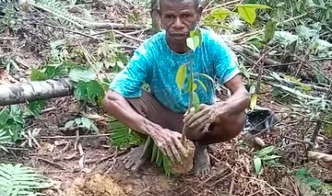 Menanam untuk Generasi Penerus, Paulus Lokden Teguhkan Komitmen Jaga Alam dan Iman