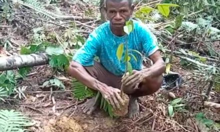 Menanam untuk Generasi Penerus, Paulus Lokden Teguhkan Komitmen Jaga Alam dan Iman