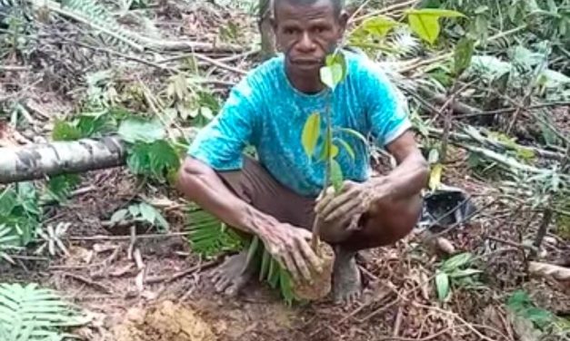 Menanam untuk Generasi Penerus, Paulus Lokden Teguhkan Komitmen Jaga Alam dan Iman