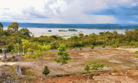 Pesona Danau Ayamaru Terlihat Indah dari Ketinggian Samu Bah