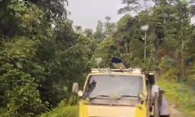 Truk Pembawa Material Pembangunan MCK SD YPPK Santo Paulus Waban Tertahan di Jalan Mare Akibat Hujan