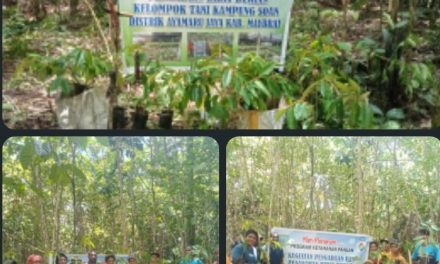 Kepala Kampung Soan Mairon Lokden Dorong Ketahanan Pangan Melalui Penanaman Bibit Durian