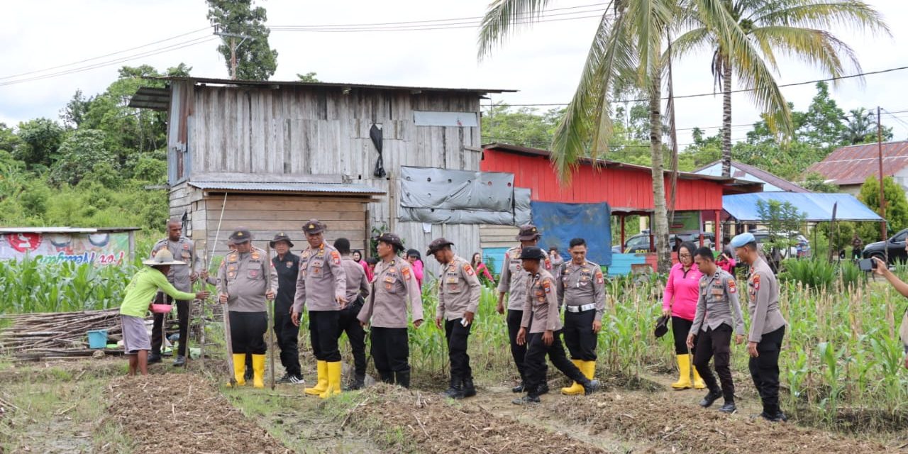 Dukung Program Swasembada Pangan Nasional, Polres Sorong Selatan Laksanakan Penanaman Jagung Serentak Kuartal IV Tahun 2025