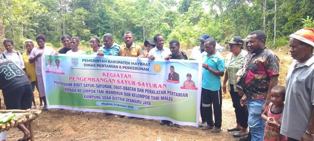 Masyarakat Kampung Soan Terima Bibit Sayur dan Buah dari Dinas Pertanian Maybrat: Dorong Peningkatan Produksi dan Pasar Lokal