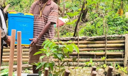 Tokoh Adat Aifat Timur Selatan Apresiasi Dukungan Pemerintah dalam Pengembangan Pertanian Kampung Wormu