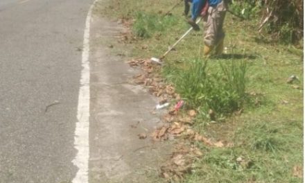 Masyarakat Ayamaru Barat Gotong Royong Sambut HUT Theofani ke-74 di Kabupaten Maybrat