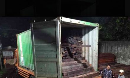 Amankan 4 Kontainer Berisi 1.260 Keping Kayu Merbau Ilegal dari Sorong Selatan, Modus Diduga Manfaatkan Sistem SIPUHH