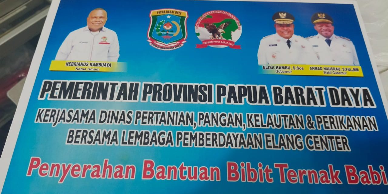Pemprov Papua Barat Daya Bersama LPEC Salurkan Bantuan Bibit Ternak Babi di Sejumlah Distrik Maybrat