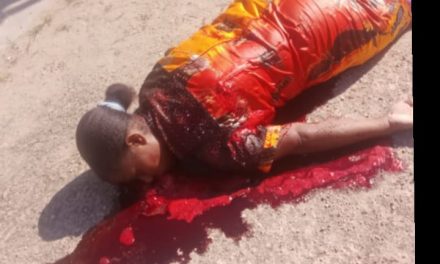 Seorang Ibu Rumah Tangga Tewas Ditikam di Depan Gereja Katolik Paroki Santo Bernadus Aimas