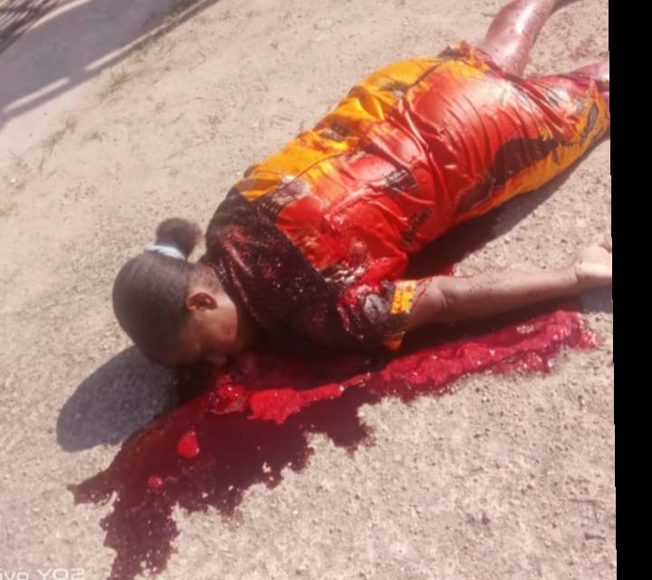 Seorang Ibu Rumah Tangga Tewas Ditikam di Depan Gereja Katolik Paroki Santo Bernadus Aimas