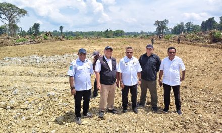 Wakil Bupati Sorong Selatan Tinjau Lokasi Cetak Sawah 1.200 Hektare di Moswaren