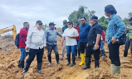 Peninjauan Program Cetak Sawah di Sorong Selatan, Pemerintah Dorong Percepatan Penanaman