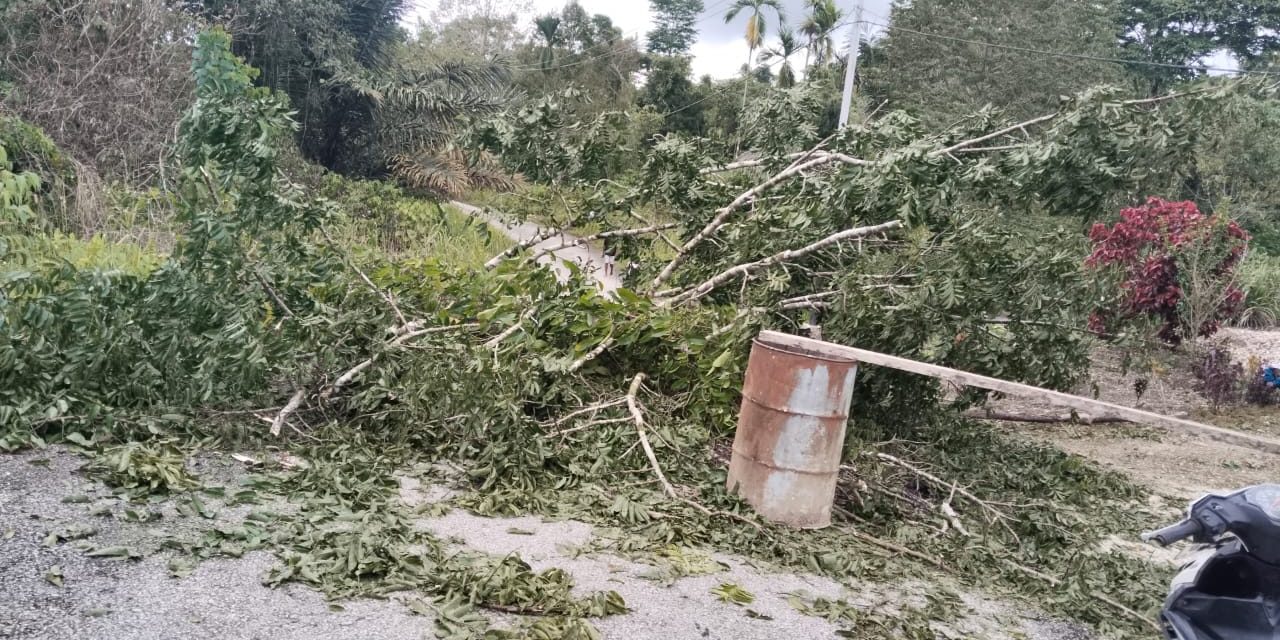 Warga Palang Jalan Sune–Kokas, Tagih Pembayaran Material Proyek di Kampung Kokas