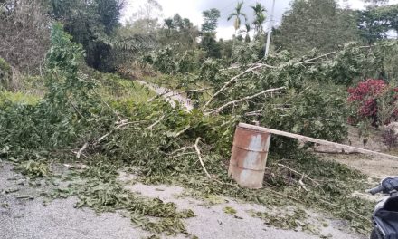 Warga Palang Jalan Sune–Kokas, Tagih Pembayaran Material Proyek di Kampung Kokas