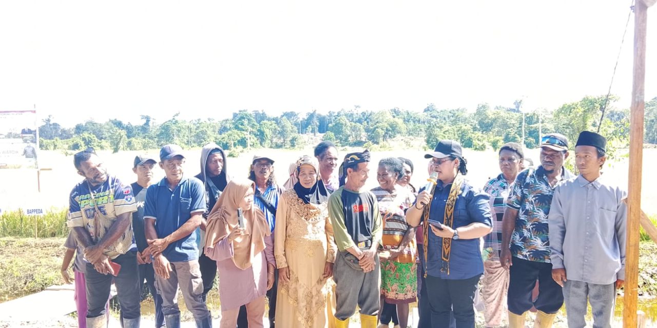 Pemkab Sorong Selatan Gelar Panen Raya Padi di Kampung Wardik, Dukung Swasembada Pangan Nasional