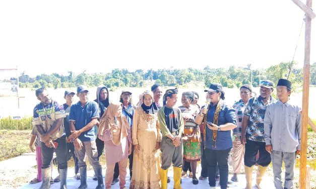 Pemkab Sorong Selatan Gelar Panen Raya Padi di Kampung Wardik, Dukung Swasembada Pangan Nasional