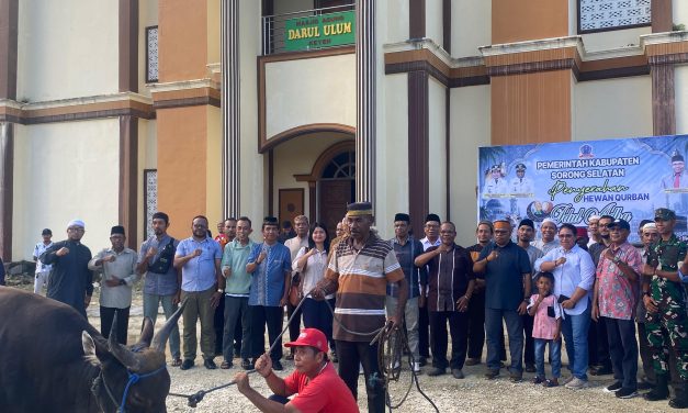 Pemkab Sorong Selatan Serahkan 19 Ekor Hewan Kurban untuk Umat Muslim Sambut Iduladha 2026