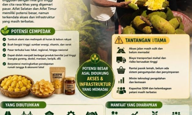 Cempedak Berpotensi Jadi Komoditas Unggulan dan Penggerak Ekonomi Masyarakat Maybrat