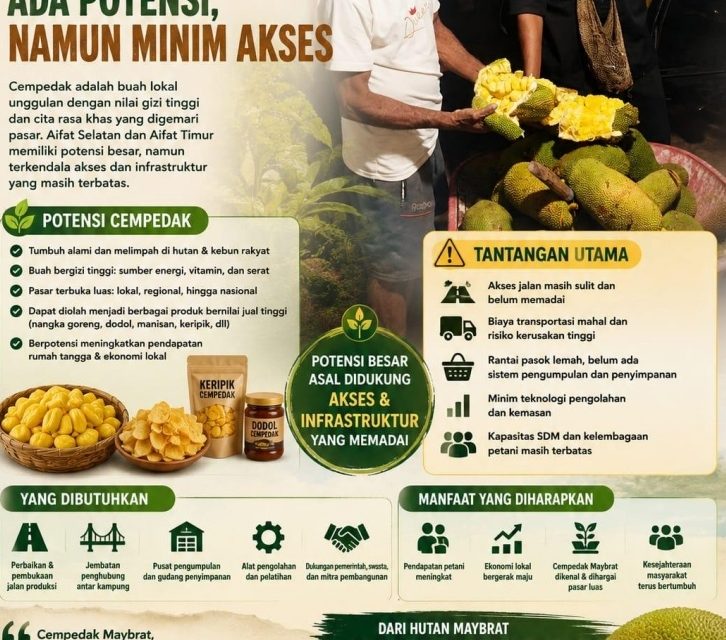 Cempedak Berpotensi Jadi Komoditas Unggulan dan Penggerak Ekonomi Masyarakat Maybrat