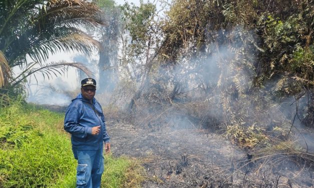Kebakaran Hutan Meluas di Kokoda, Wabup Sorong Selatan Minta Dukungan Forkopimda hingga BNPB