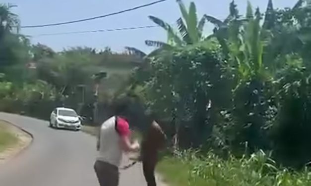 Yan Christian Warinussy Soroti Pemerataan Paket Pekerjaan OAP dan Desak Polisi Usut Penyerangan WNA di Manokwari